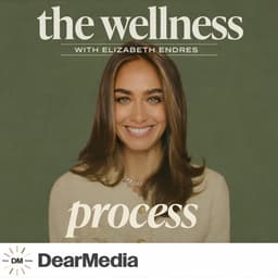 The Wellness Process cover